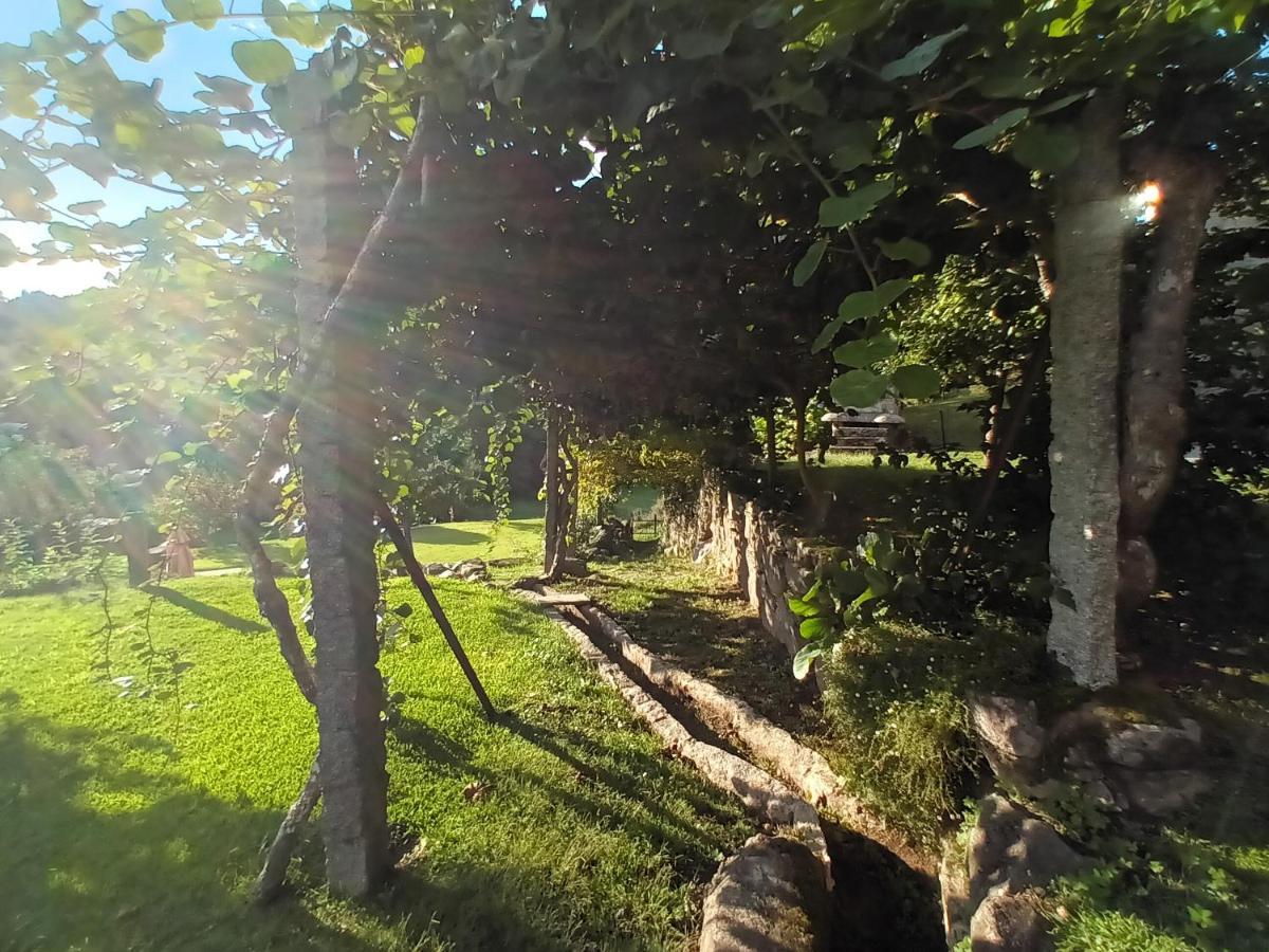 Quinta Da Chanca Paredes de Coura Exterior photo